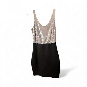 Express, Sequin Pencil Dress, Size XS
